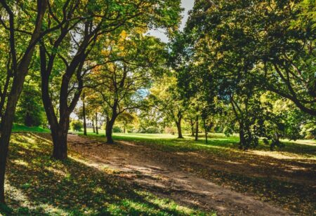 Village Park Milton